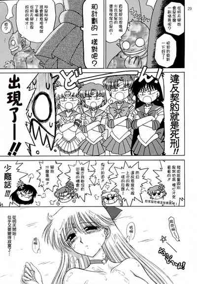 第29頁圖