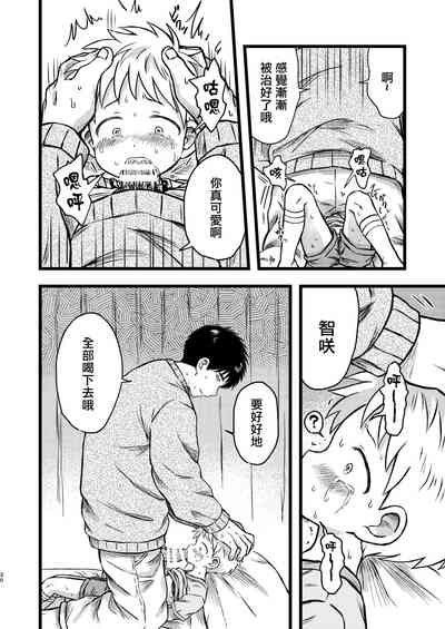 第29頁圖