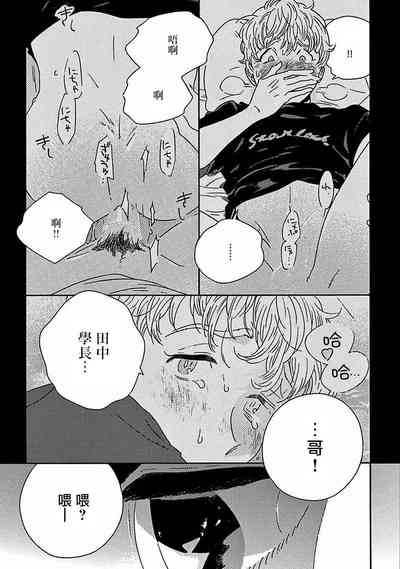 第289頁圖