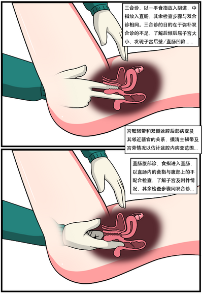 第181頁圖