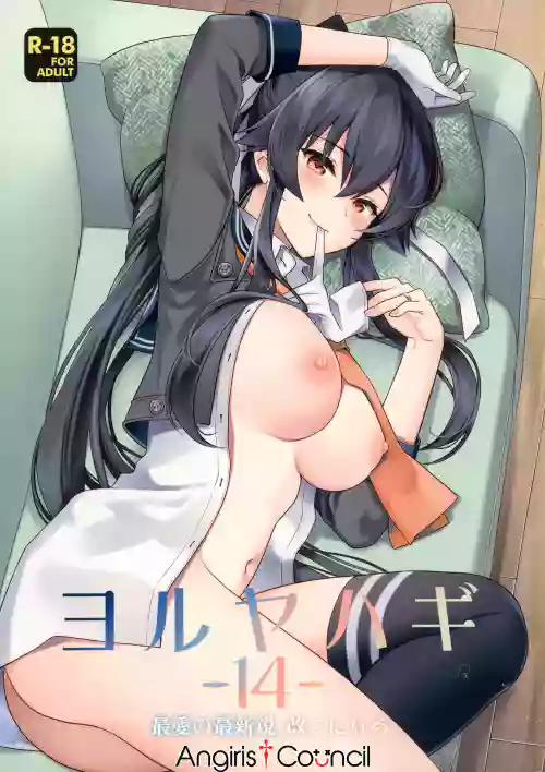 (C100) [Rosapersica (一ノ宫)] ヨルヤハギ -14- 最爱の最新锐、改二になる (舰队これくしょん -舰これ-)图