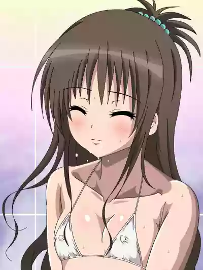 第41頁圖
