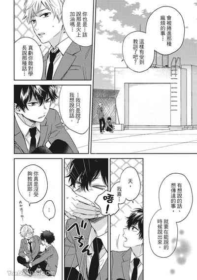 第29頁圖