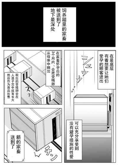 第61頁圖