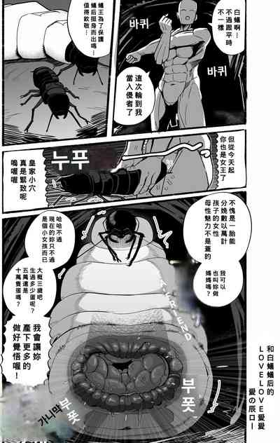 第17页图