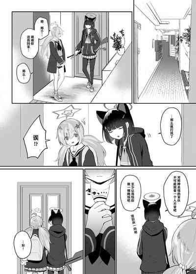 第13页图