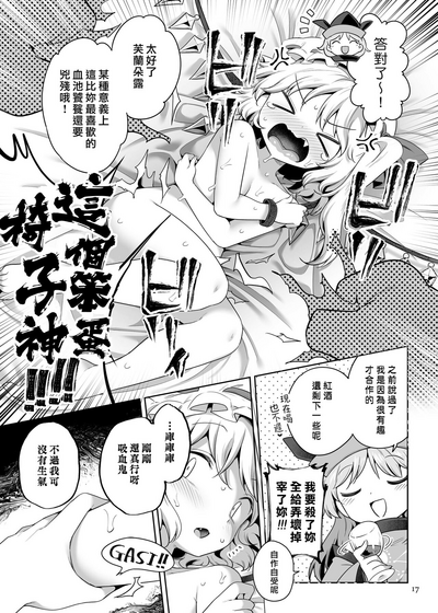 第17页图