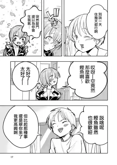 第17页图