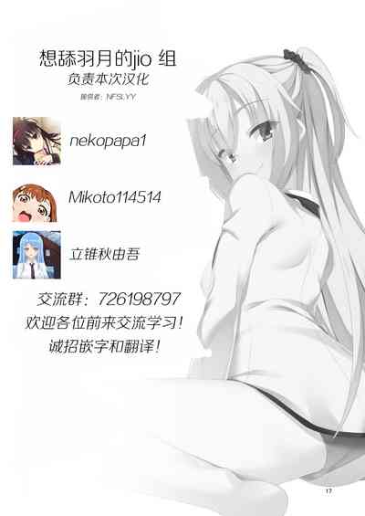 第17页图
