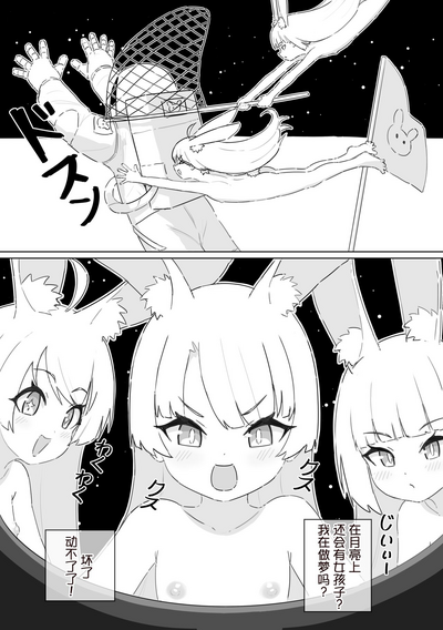 第5页图