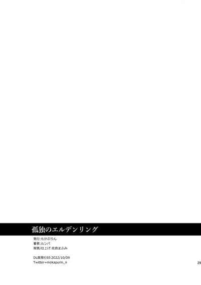 第29頁圖