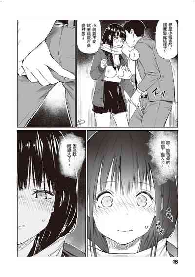 第17页图