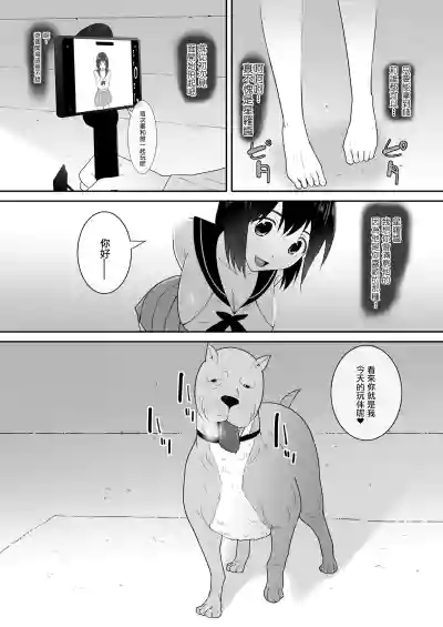 第13页图