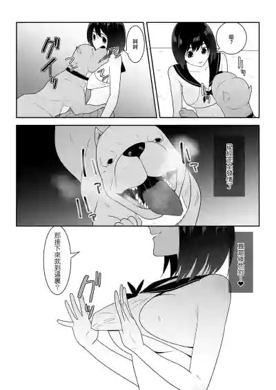 第17页图