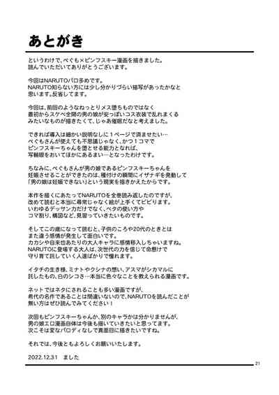 第21頁圖
