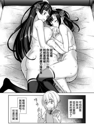 第17页图