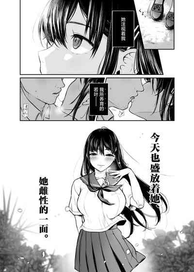 第29頁圖