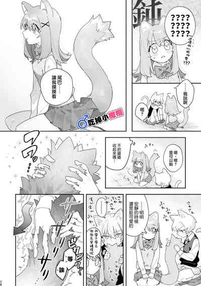 第29页图