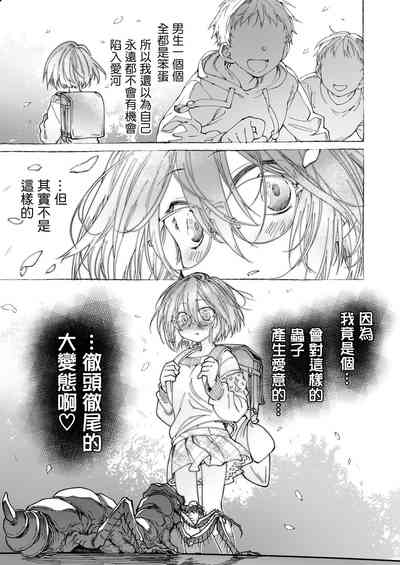 第33頁圖