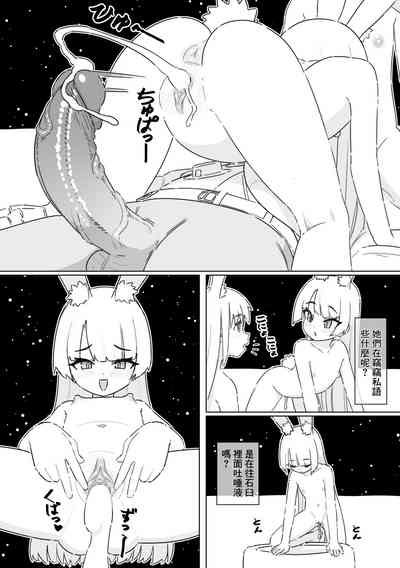 第13页图