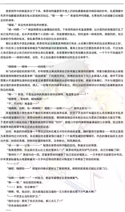 第17页 封面 - HaSM.cc