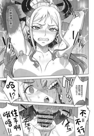 第17页图