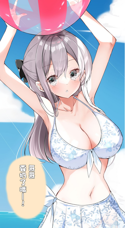 第233页图