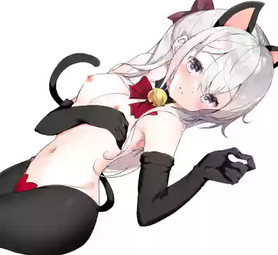 第261页图