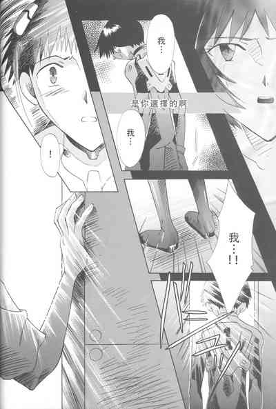 第213頁圖