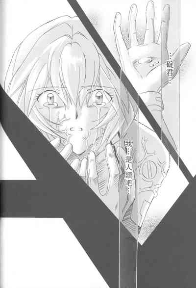 第237頁圖