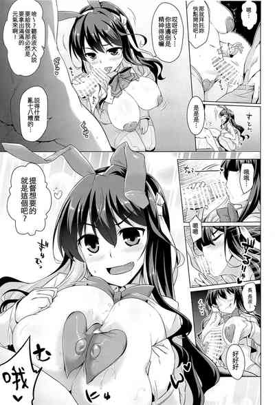 第5页图