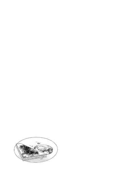 第233頁圖