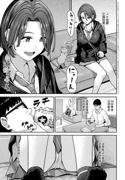 貓と好奇心とJK圖