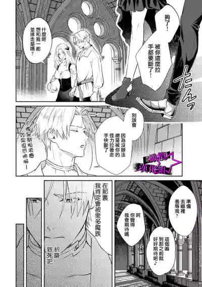 第81頁圖