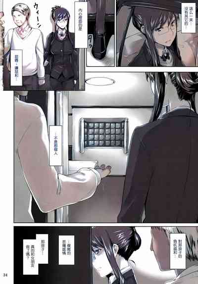 第33页图