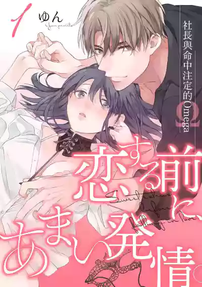 第1頁圖