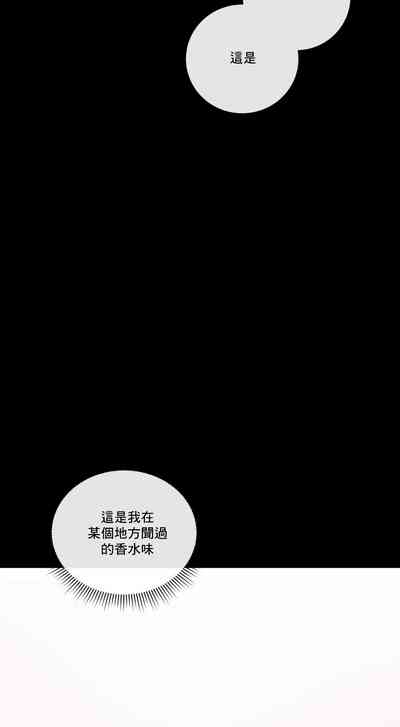 第41頁圖