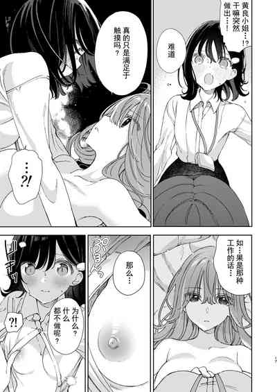 第17页图