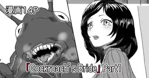 Cockroach's Bride | 蟑螂的新妻 封面 - HaSM.cc