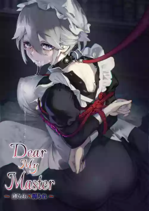 Dear My Master ～縛られ×縛られ～圖