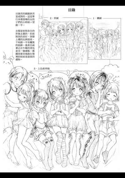 第233頁圖