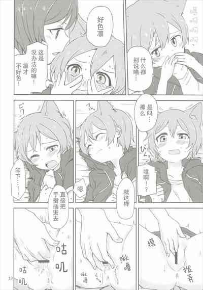 第17页图