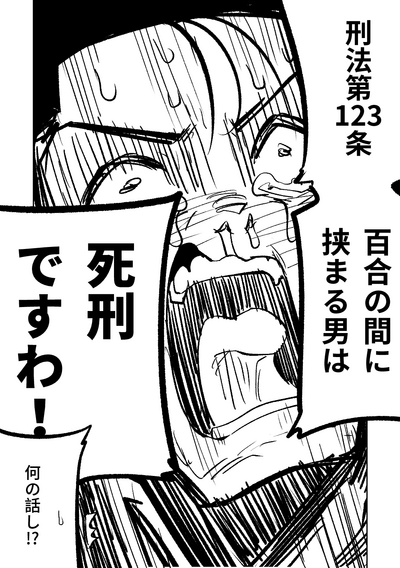 第33页图