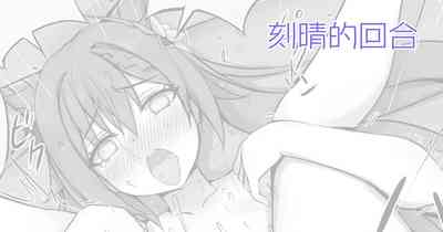 第13页图