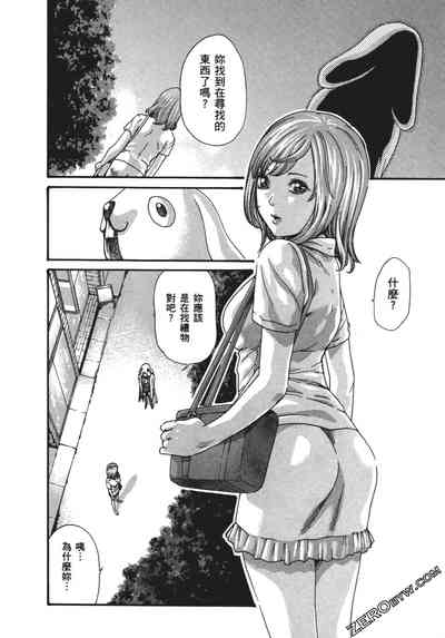 第85頁圖