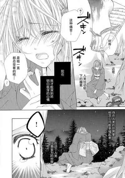 第29頁圖