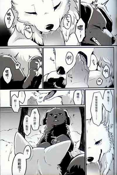 第13頁圖