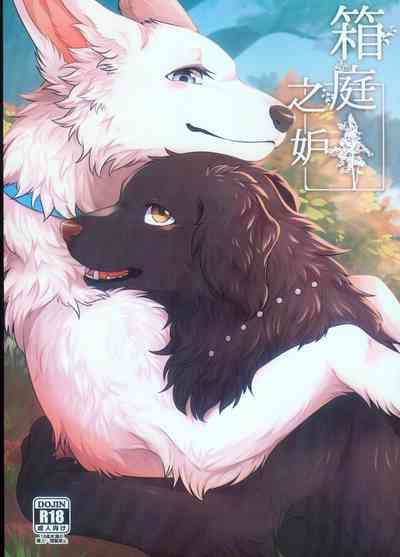 第1頁圖