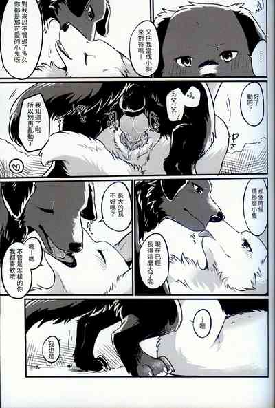 第21頁圖