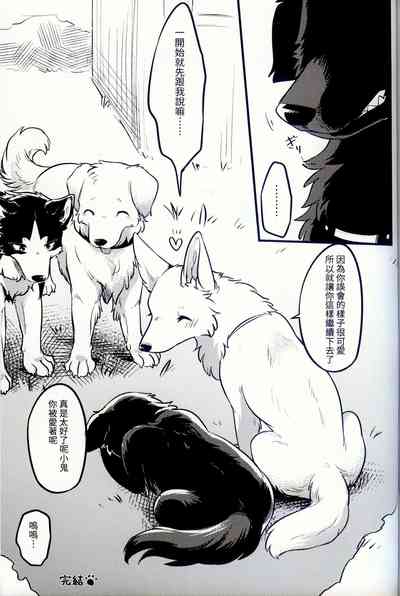 第29頁圖